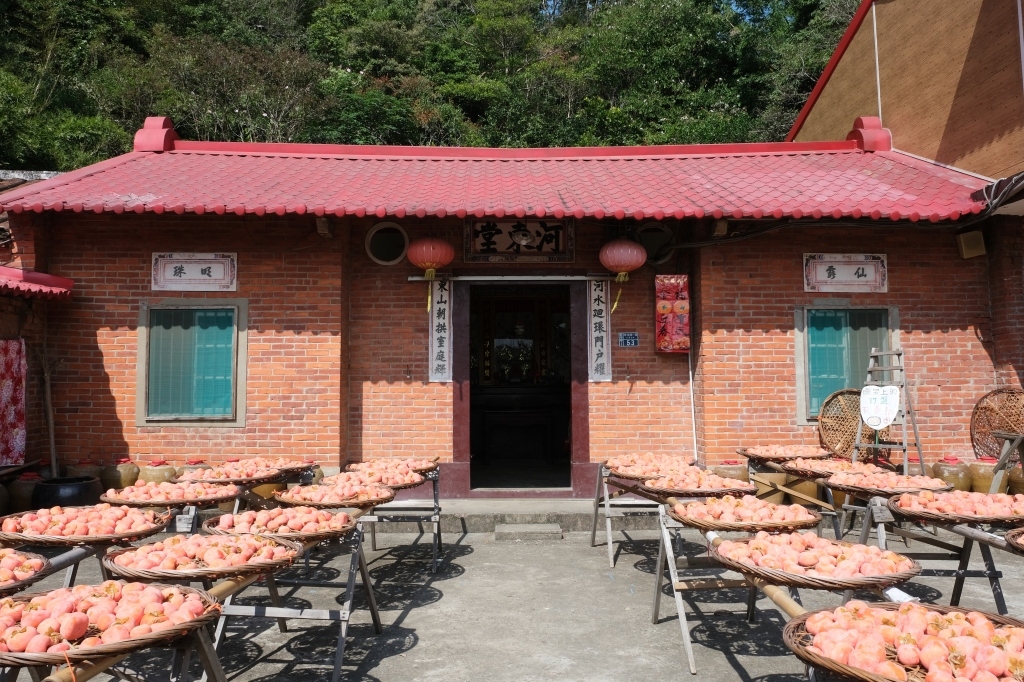 新竹新埔|味衛佳柿餅教育農園.秋天限定的三合院曬柿子,療癒又好拍的金色浪漫 @飛天璇的口袋 新竹新埔|味衛佳柿餅教育農園.秋天限定的三合院曬柿子,療癒又好拍的金色浪漫 @飛天璇的口袋