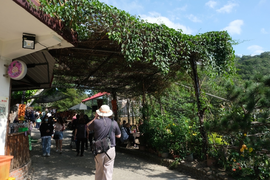 新竹新埔|味衛佳柿餅教育農園.秋天限定的三合院曬柿子,療癒又好拍的金色浪漫 @飛天璇的口袋 新竹新埔|味衛佳柿餅教育農園.秋天限定的三合院曬柿子,療癒又好拍的金色浪漫 @飛天璇的口袋