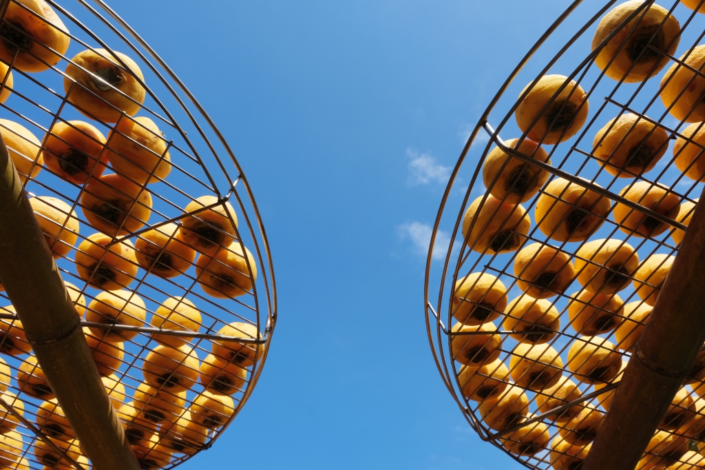 新竹新埔｜味衛佳柿餅教育農園．秋天限定的三合院曬柿子，療癒又好拍的金色浪漫 @飛天璇的口袋