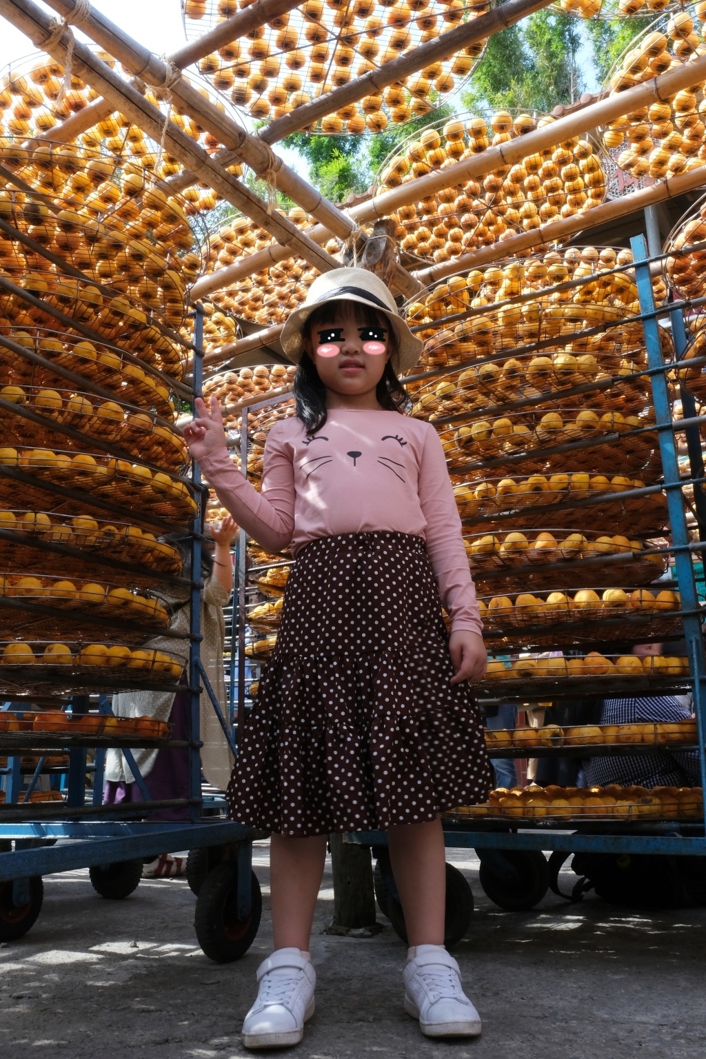 新竹新埔|味衛佳柿餅教育農園.秋天限定的三合院曬柿子,療癒又好拍的金色浪漫 @飛天璇的口袋 新竹新埔|味衛佳柿餅教育農園.秋天限定的三合院曬柿子,療癒又好拍的金色浪漫 @飛天璇的口袋