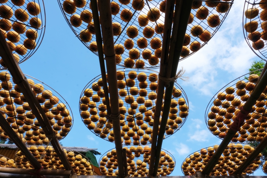 新竹新埔|味衛佳柿餅教育農園.秋天限定的三合院曬柿子,療癒又好拍的金色浪漫 @飛天璇的口袋 新竹新埔|味衛佳柿餅教育農園.秋天限定的三合院曬柿子,療癒又好拍的金色浪漫 @飛天璇的口袋