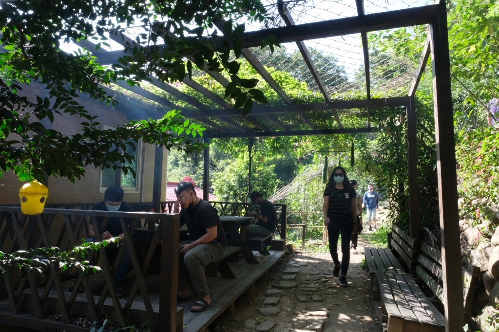 新竹新埔|味衛佳柿餅教育農園.秋天限定的三合院曬柿子,療癒又好拍的金色浪漫 @飛天璇的口袋 新竹新埔|味衛佳柿餅教育農園.秋天限定的三合院曬柿子,療癒又好拍的金色浪漫 @飛天璇的口袋