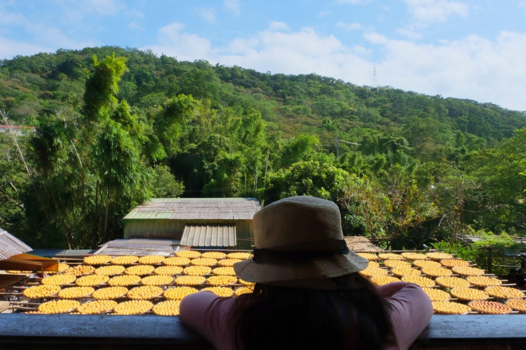 新竹新埔|味衛佳柿餅教育農園.秋天限定的三合院曬柿子,療癒又好拍的金色浪漫 @飛天璇的口袋 新竹新埔|味衛佳柿餅教育農園.秋天限定的三合院曬柿子,療癒又好拍的金色浪漫 @飛天璇的口袋
