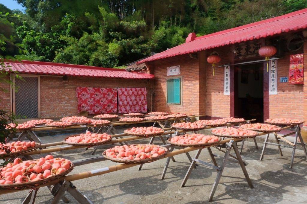 新竹新埔｜味衛佳柿餅教育農園．秋天限定的三合院曬柿子，療癒又好拍的金色浪漫 @飛天璇的口袋