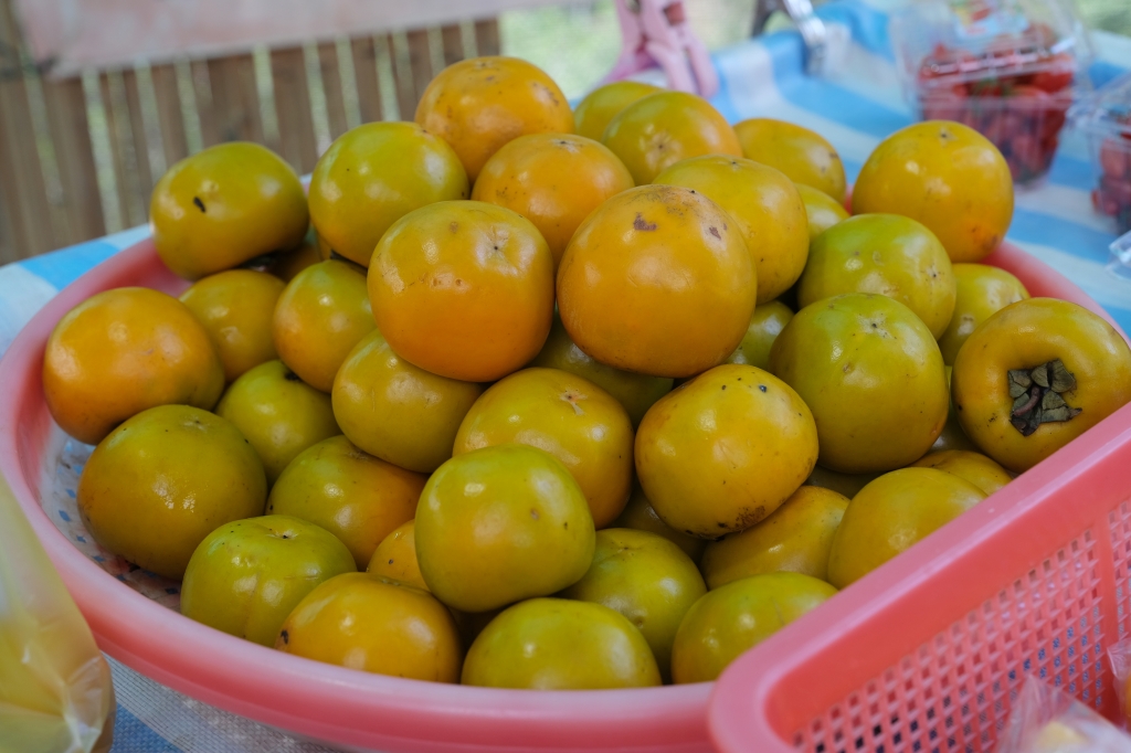 新竹新埔|味衛佳柿餅教育農園.秋天限定的三合院曬柿子,療癒又好拍的金色浪漫 @飛天璇的口袋 新竹新埔|味衛佳柿餅教育農園.秋天限定的三合院曬柿子,療癒又好拍的金色浪漫 @飛天璇的口袋