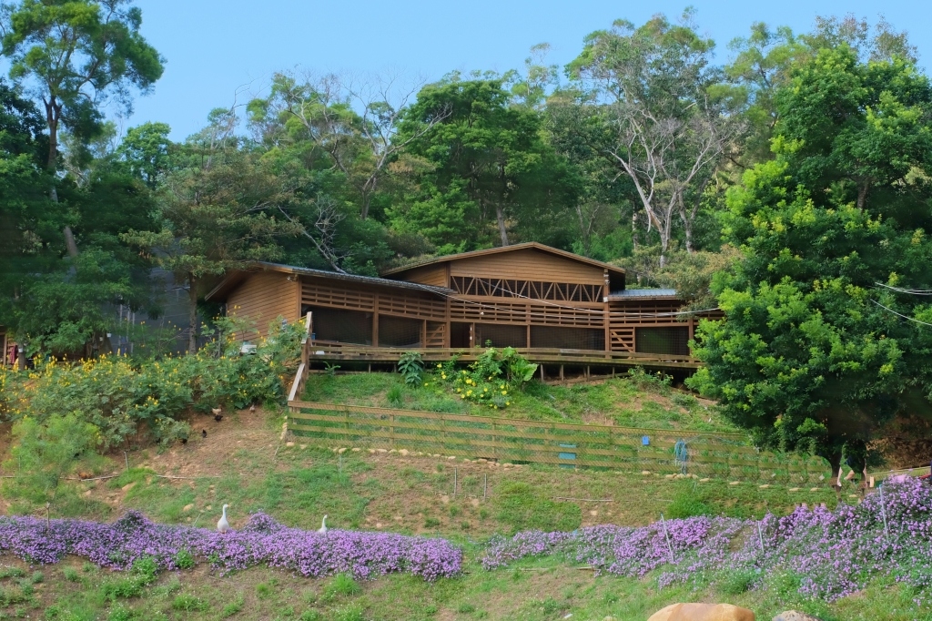 雲夢山丘｜假日限定！雲水觀、金之塔、溫泉足湯、自然生態，欣賞日本隈研吾大師的建築美學 @飛天璇的口袋