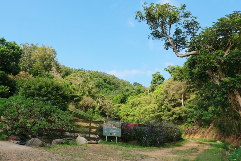 雲夢山丘｜假日限定！雲水觀、金之塔、溫泉足湯、自然生態，欣賞日本隈研吾大師的建築美學 @飛天璇的口袋