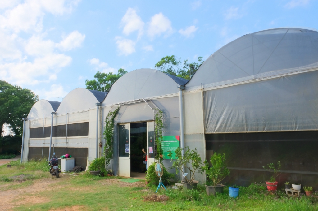 雲夢山丘｜假日限定！雲水觀、金之塔、溫泉足湯、自然生態，欣賞日本隈研吾大師的建築美學 @飛天璇的口袋