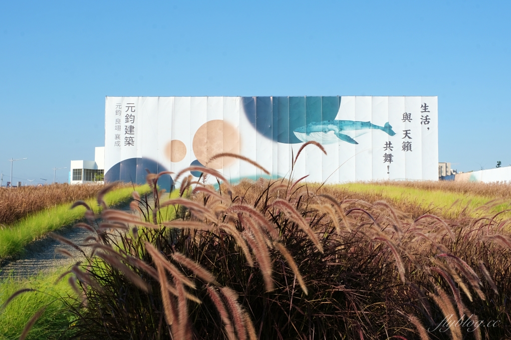 【台中北屯】紅色秘境夢幻園圃，隱身於十四期的紅色狼尾草花海，浪漫又好拍的IG小秘境 @飛天璇的口袋