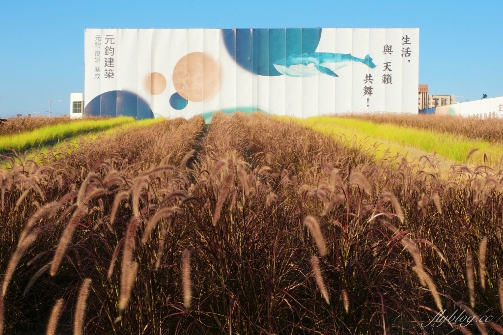 【台中北屯】紅色秘境夢幻園圃，隱身於十四期的紅色狼尾草花海，浪漫又好拍的IG小秘境 @飛天璇的口袋