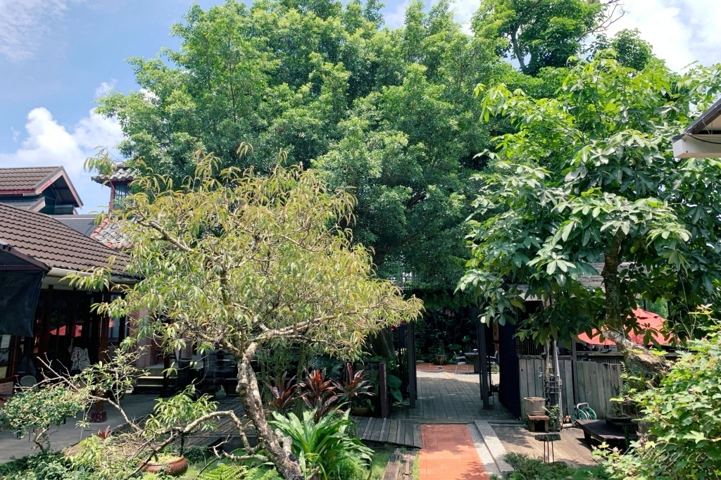 【台南白河】沐春溫泉湯宿 全台唯一泥漿溫泉 關子嶺泡湯住宿推薦 @飛天璇的口袋