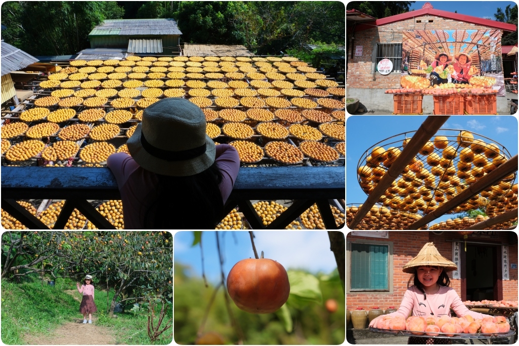 新竹新埔｜味衛佳柿餅教育農園．秋天限定的三合院曬柿子，療癒又好拍的金色浪漫 @飛天璇的口袋