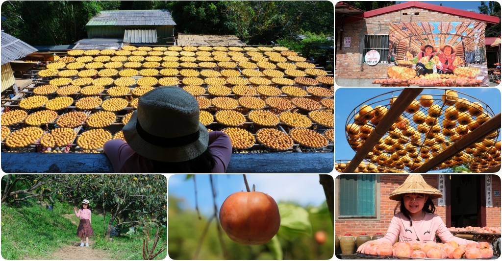 新竹新埔|味衛佳柿餅教育農園.秋天限定的三合院曬柿子,療癒又好拍的金色浪漫 @飛天璇的口袋 新竹新埔|味衛佳柿餅教育農園.秋天限定的三合院曬柿子,療癒又好拍的金色浪漫 @飛天璇的口袋