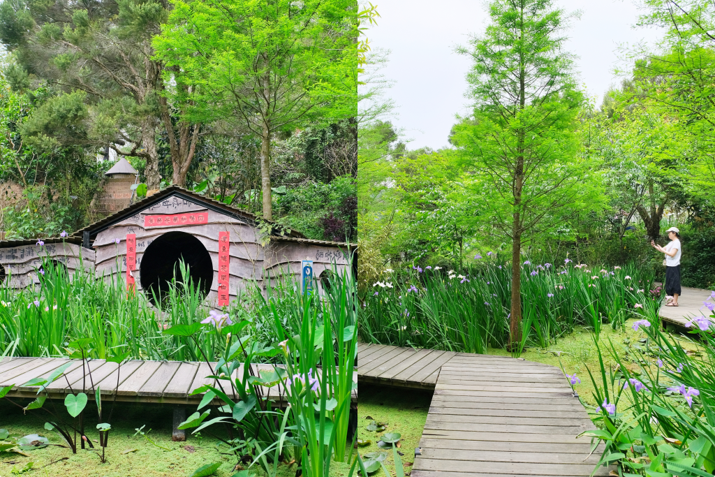 苗栗三義｜卓也小屋渡假園區．鳶尾花季起跑！森林裡的小村落，賞花、美食、藍染 @飛天璇的口袋