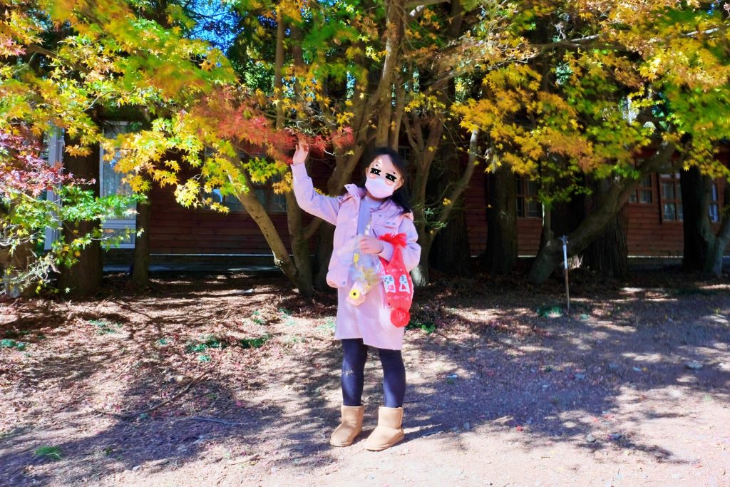 台中和平｜福壽山農場一日遊．櫻花、楓葉、蜜蘋果，一年四季不同的美麗 @飛天璇的口袋