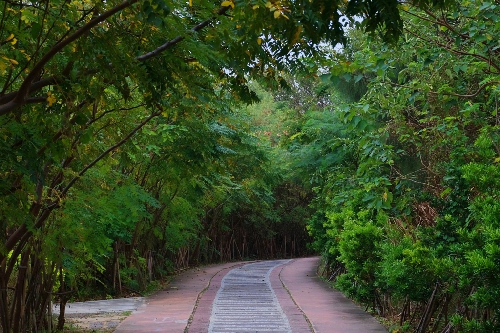 苗栗後龍｜後龍過港隧道，海線隱藏版拍照景點白沙屯隧道群，宛如置身韓劇德魯納酒店的場景 @飛天璇的口袋