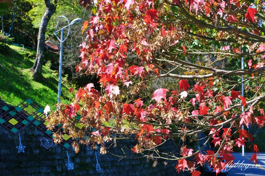 台中和平｜梨山部落．坐落海拔1800公尺，台中最偏遠的部落 @飛天璇的口袋