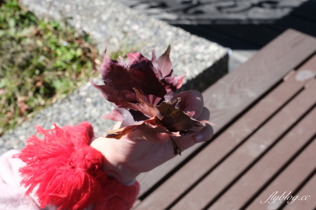 台中和平｜梨山部落．坐落海拔1800公尺，台中最偏遠的部落 @飛天璇的口袋