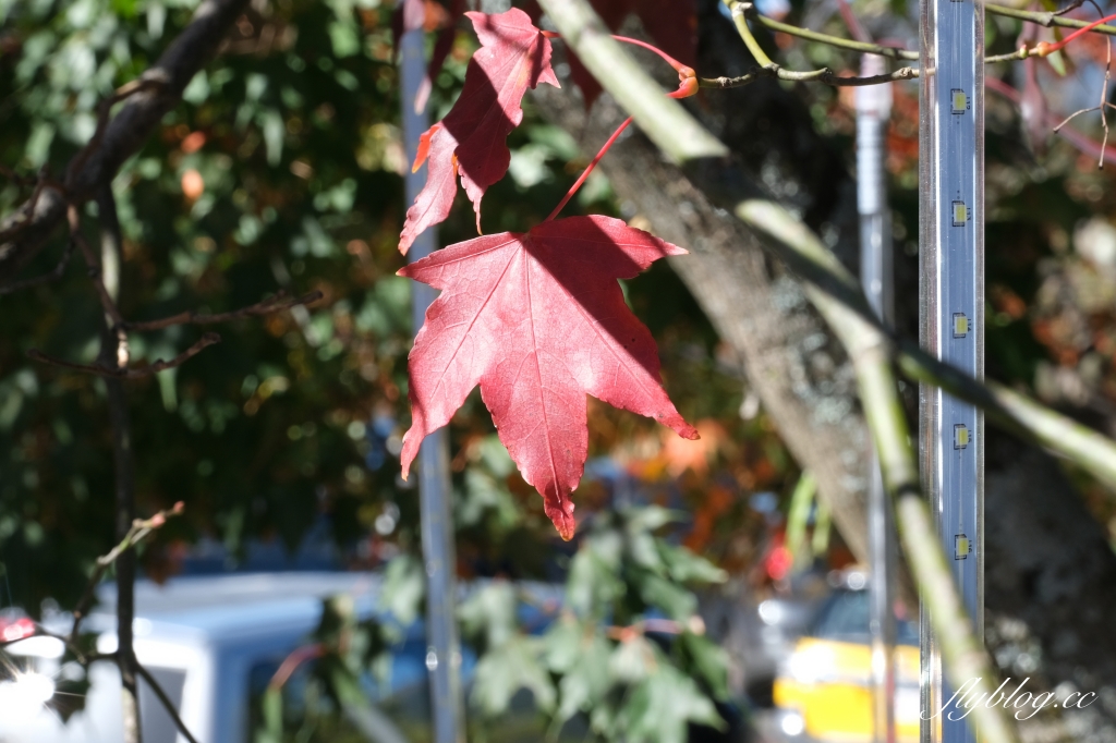 台中和平｜梨山部落．坐落海拔1800公尺，台中最偏遠的部落 @飛天璇的口袋