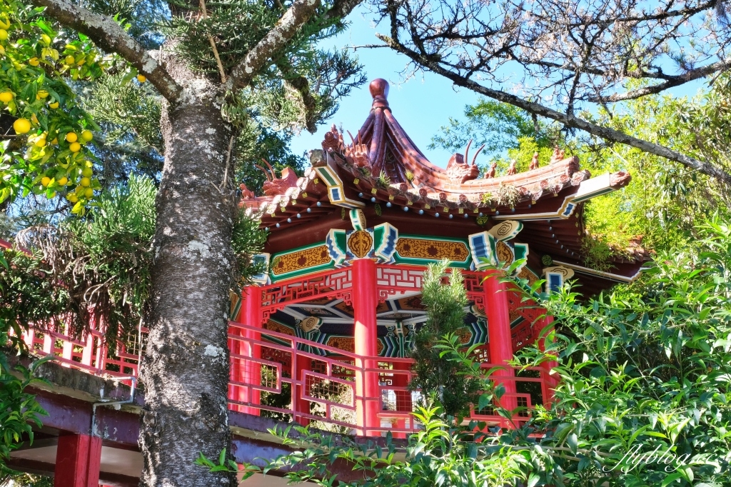 台中和平｜梨山部落．坐落海拔1800公尺，台中最偏遠的部落 @飛天璇的口袋