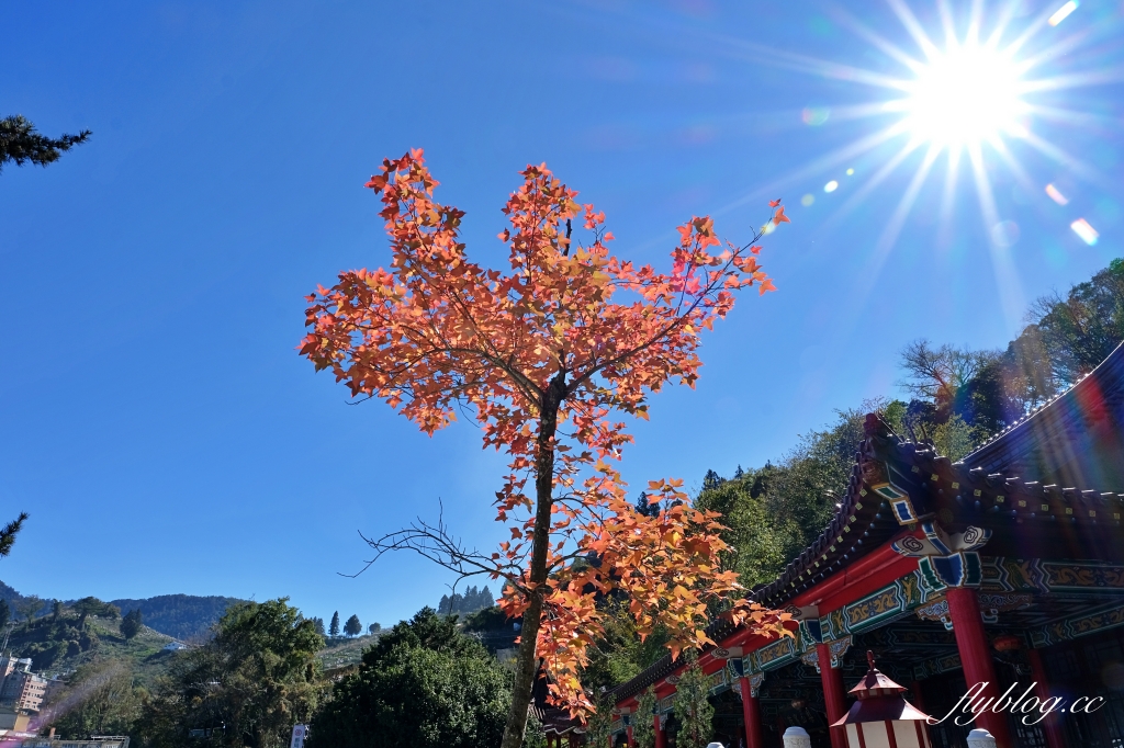 台中和平｜梨山部落．坐落海拔1800公尺，台中最偏遠的部落 @飛天璇的口袋