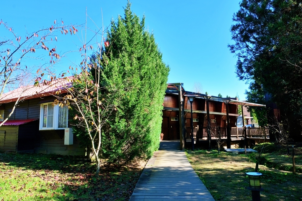 台中和平｜福壽山農場一日遊．櫻花、楓葉、蜜蘋果，一年四季不同的美麗 @飛天璇的口袋