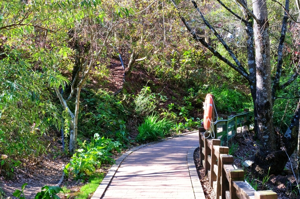台中和平｜福壽山農場一日遊．櫻花、楓葉、蜜蘋果，一年四季不同的美麗 @飛天璇的口袋