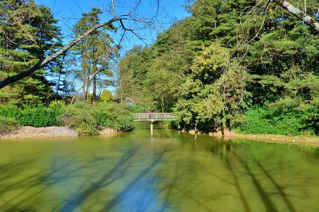 台中和平｜武陵福壽山2天1夜．經中橫到福壽山武陵採果樂，或是參加旅行社套裝行程 @飛天璇的口袋