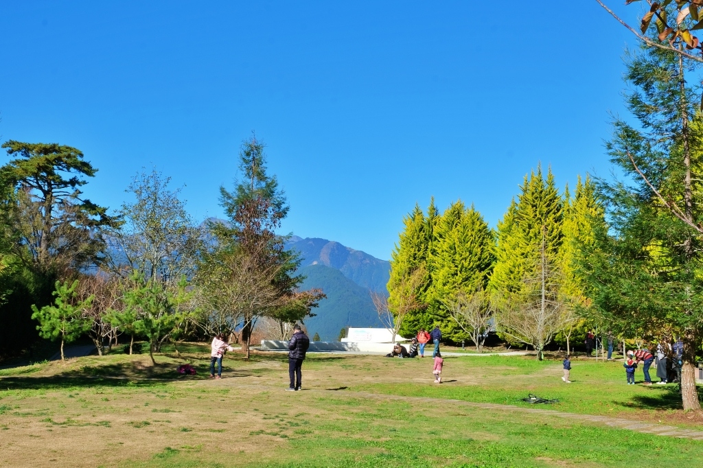 台中和平｜福壽山農場一日遊．櫻花、楓葉、蜜蘋果，一年四季不同的美麗 @飛天璇的口袋