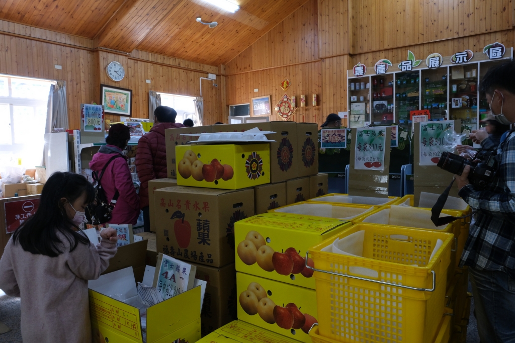 台中和平｜福壽山農場一日遊．櫻花、楓葉、蜜蘋果，一年四季不同的美麗 @飛天璇的口袋