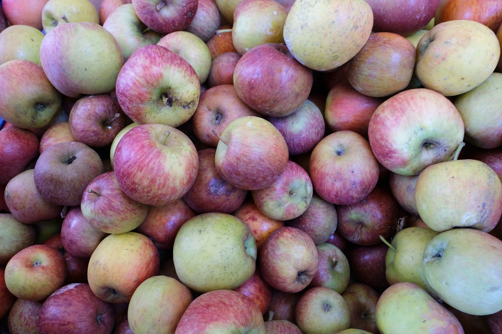 台中和平｜福壽山農場一日遊．櫻花、楓葉、蜜蘋果，一年四季不同的美麗 @飛天璇的口袋