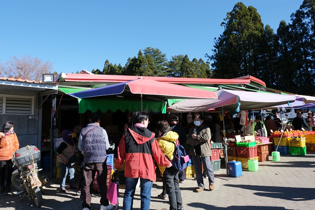 台中和平｜福壽山農場一日遊．櫻花、楓葉、蜜蘋果，一年四季不同的美麗 @飛天璇的口袋