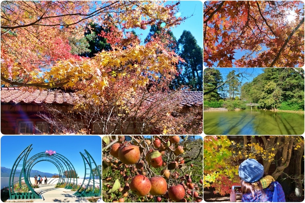 台中和平｜福壽山農場一日遊．櫻花、楓葉、蜜蘋果，一年四季不同的美麗 @飛天璇的口袋