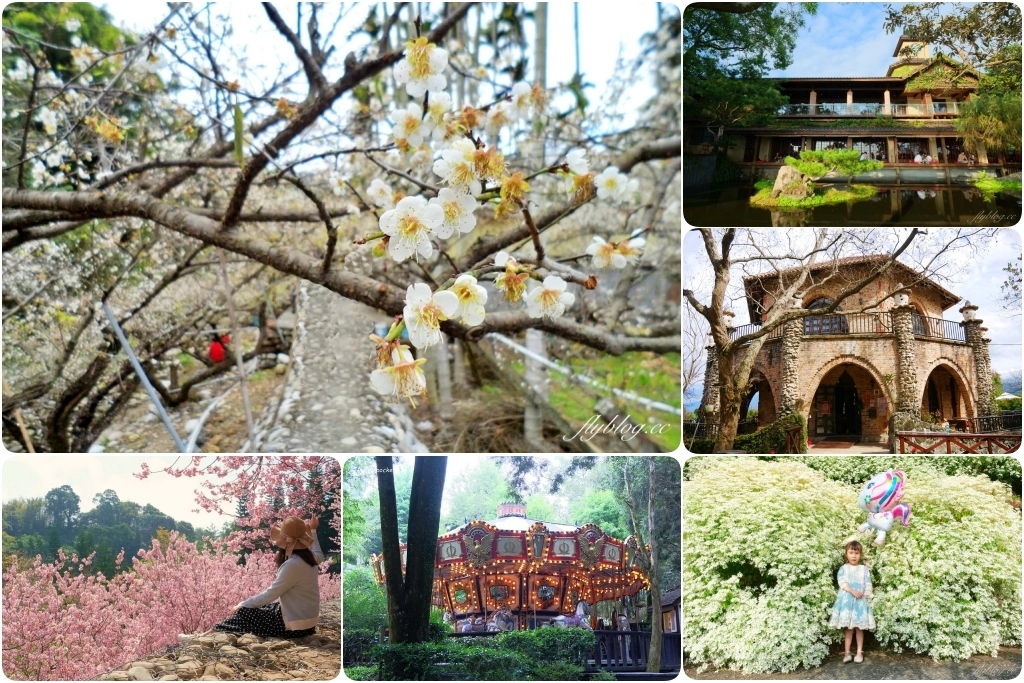 2023新社花海｜2023台中國際花毯節．全台首座漂浮花都，11/11~12/03登場 @飛天璇的口袋