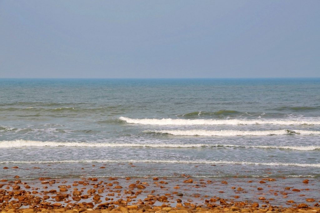 苗栗後龍｜海角樂園．後龍必遊IG打卡秘境，七彩彩虹和平地小天池，6月~9月天人菊花季最美 @飛天璇的口袋