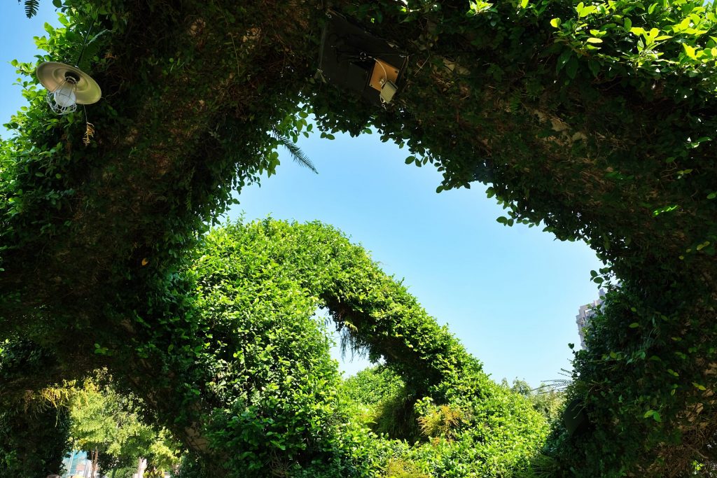 【台中西區】台中國美館~2022台灣國際光雕藝術節，台中美術館草地巨大彩色泡泡療癒又好拍 @飛天璇的口袋