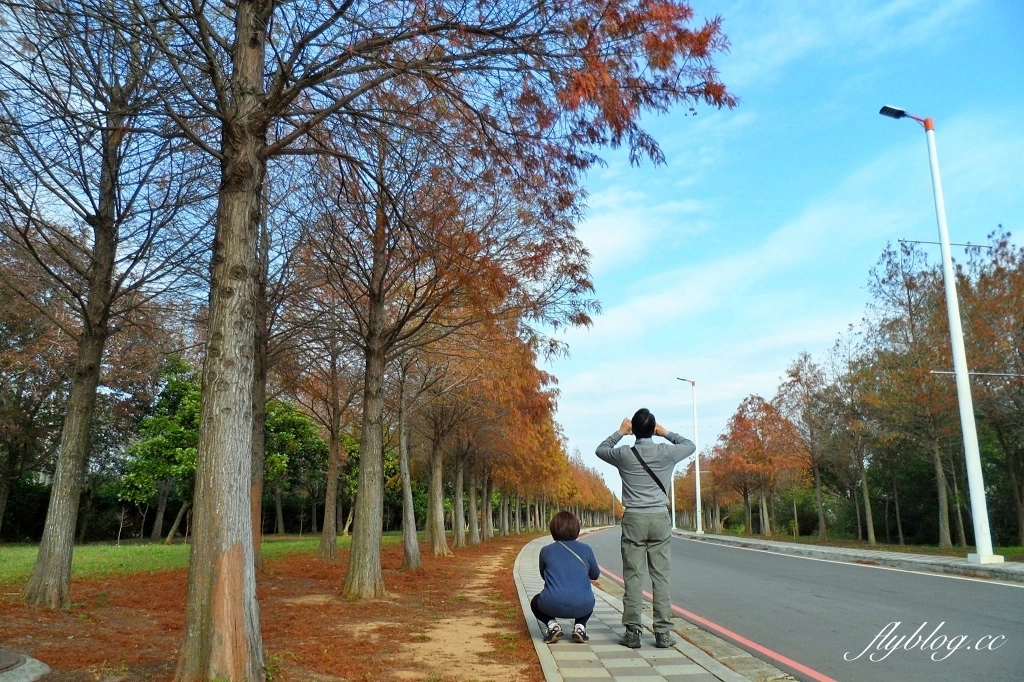 台中后里|月眉落羽松大道.長達1.2公里超浪漫免費拍,后里麗寶樂園後方落羽松秘境 @飛天璇的口袋 台中后里|月眉落羽松大道.長達1.2公里超浪漫免費拍,后里麗寶樂園後方落羽松秘境 @飛天璇的口袋