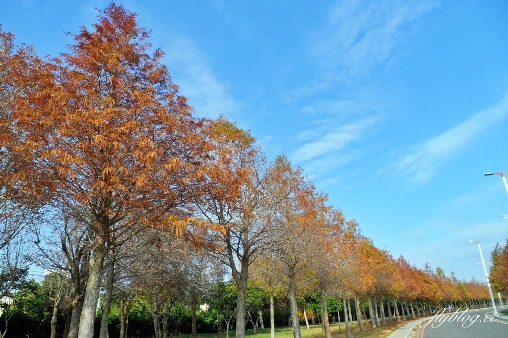 台中后里|月眉落羽松大道.長達1.2公里超浪漫免費拍,后里麗寶樂園後方落羽松秘境 @飛天璇的口袋 台中后里|月眉落羽松大道.長達1.2公里超浪漫免費拍,后里麗寶樂園後方落羽松秘境 @飛天璇的口袋