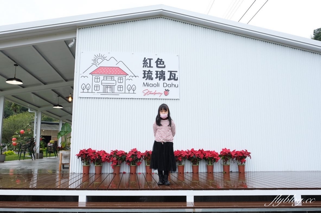 苗栗旅遊｜苗栗2天1夜旅行｜大湖 x 頭屋｜漫遊苗栗山城，採草莓、泡溫泉、走景點 @飛天璇的口袋