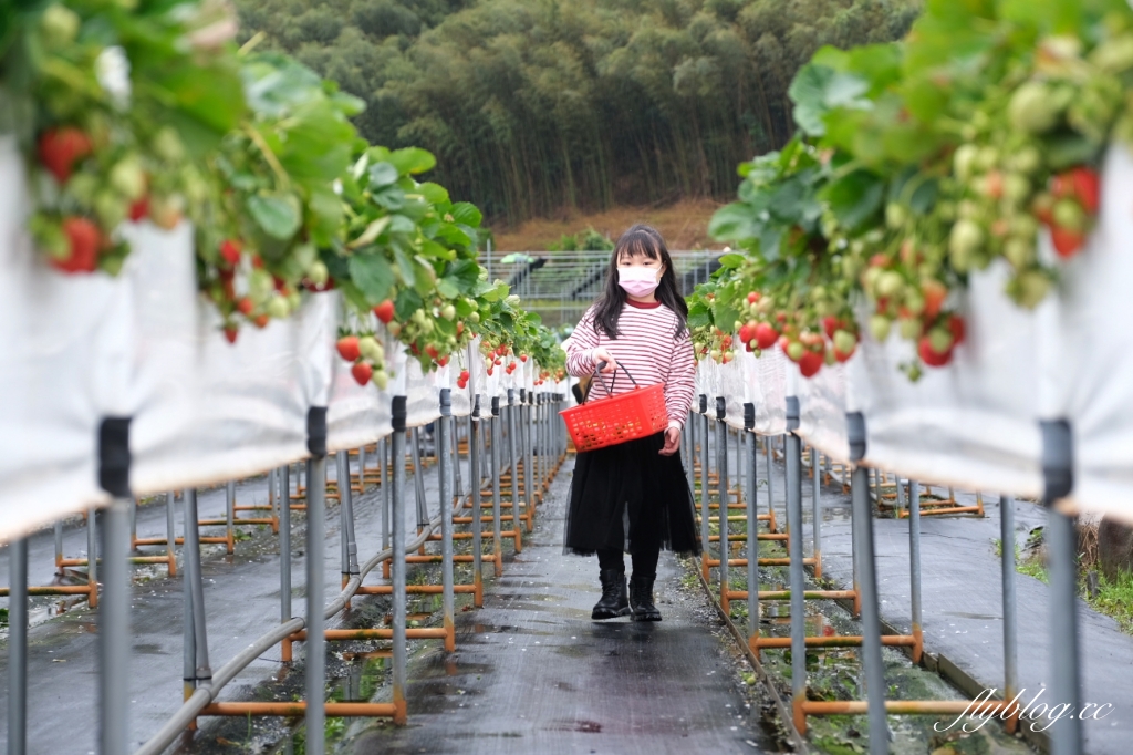 苗栗旅遊|苗栗2天1夜旅行|大湖 x 頭屋|漫遊苗栗山城,採草莓、泡溫泉、走景點 @飛天璇的口袋 苗栗旅遊|苗栗2天1夜旅行|大湖 x 頭屋|漫遊苗栗山城,採草莓、泡溫泉、走景點 @飛天璇的口袋