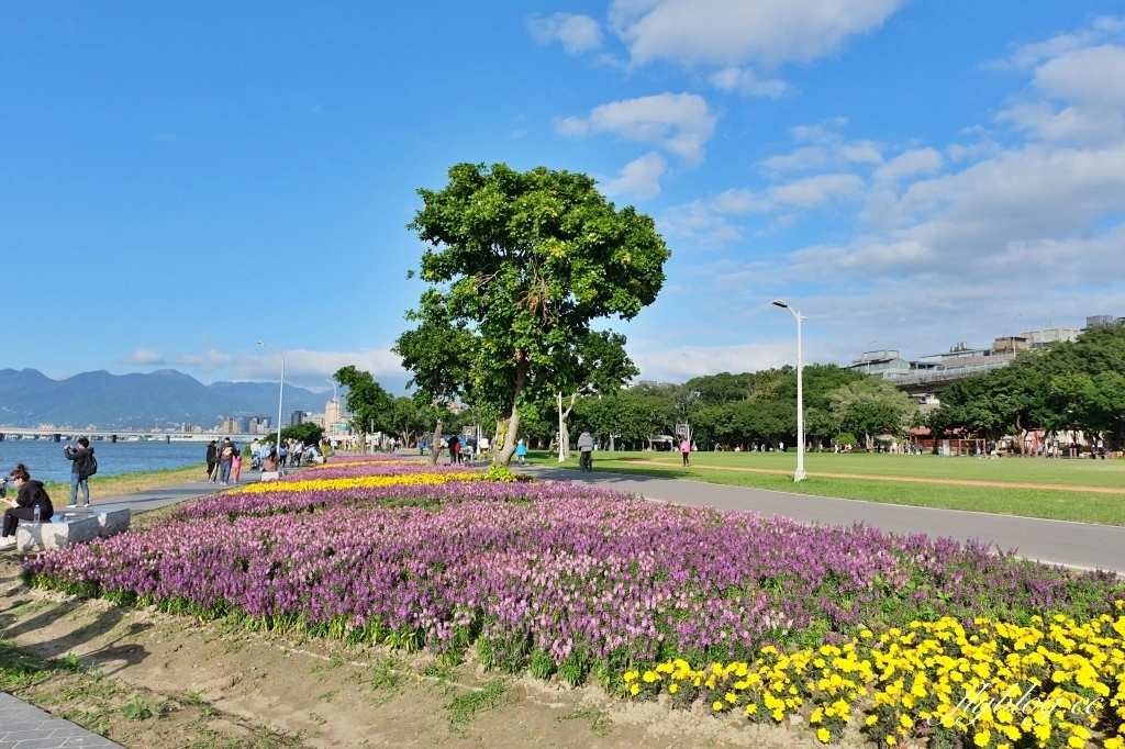 台北大同｜大稻埕碼頭貨櫃市集．台北人假日休閒好景點，漫步淡水河邊感受異國海港風情 @飛天璇的口袋