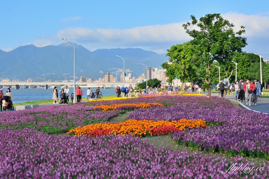 台北大同｜大稻埕碼頭貨櫃市集．台北人假日休閒好景點，漫步淡水河邊感受異國海港風情 @飛天璇的口袋