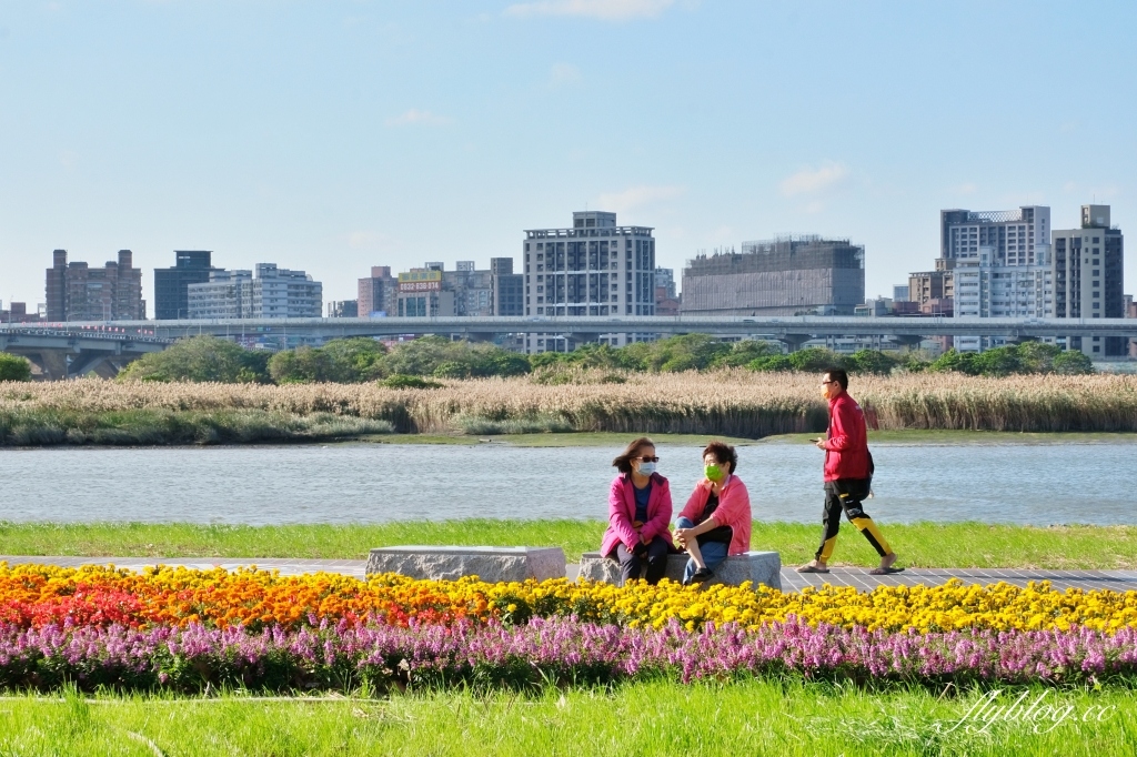 台北大同｜大稻埕碼頭貨櫃市集．台北人假日休閒好景點，漫步淡水河邊感受異國海港風情 @飛天璇的口袋