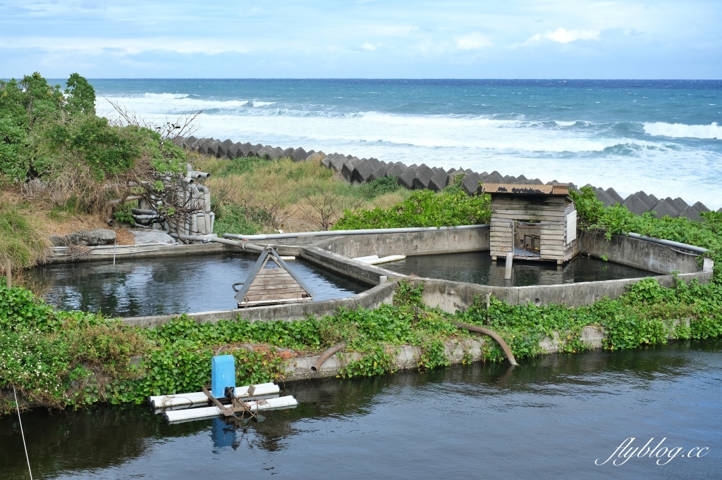 花蓮壽豐｜055龍蝦海鮮餐廳．坐擁海景鹽寮海鮮餐廳，價格透明化海鮮新鮮 @飛天璇的口袋
