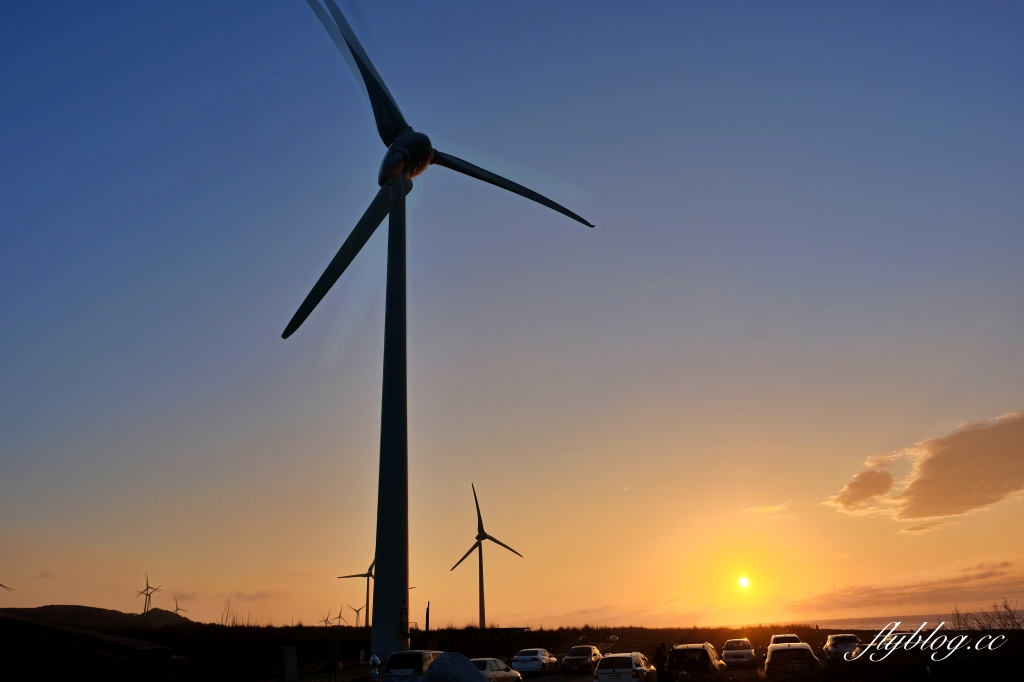 苗栗後龍｜海角樂園．後龍必遊IG打卡秘境，七彩彩虹和平地小天池，6月~9月天人菊花季最美 @飛天璇的口袋