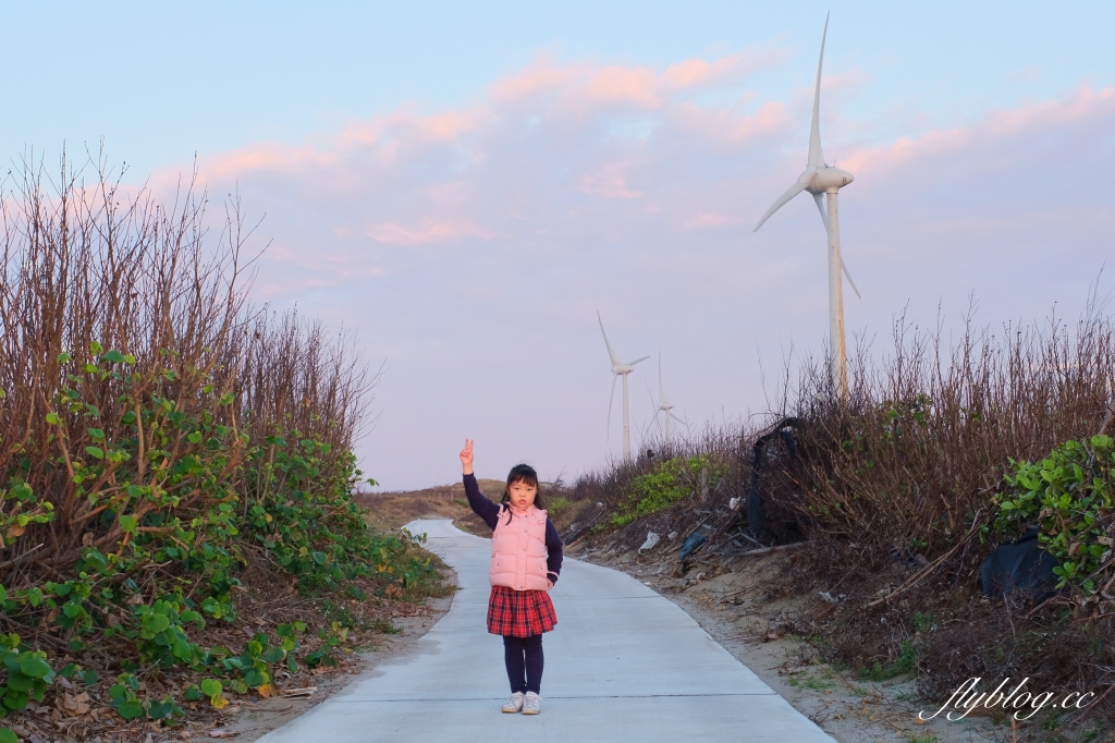 苗栗後龍｜海角樂園．後龍必遊IG打卡秘境，七彩彩虹和平地小天池，6月~9月天人菊花季最美 @飛天璇的口袋
