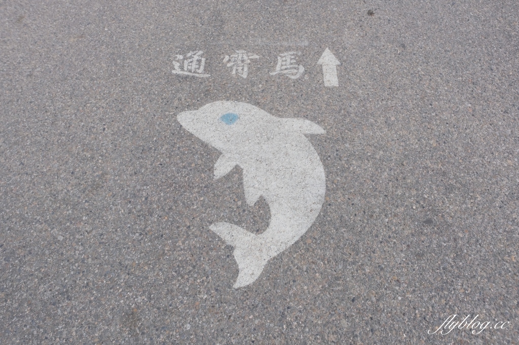 苗栗後龍｜海角樂園．後龍必遊IG打卡秘境，七彩彩虹和平地小天池，6月~9月天人菊花季最美 @飛天璇的口袋