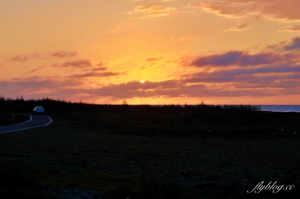 苗栗後龍｜海角樂園．後龍必遊IG打卡秘境，七彩彩虹和平地小天池，6月~9月天人菊花季最美 @飛天璇的口袋