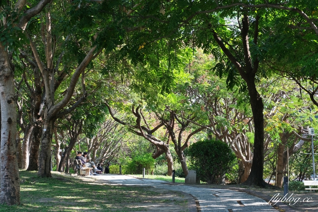 【台中西區】台中國美館~2022台灣國際光雕藝術節，台中美術館草地巨大彩色泡泡療癒又好拍 @飛天璇的口袋
