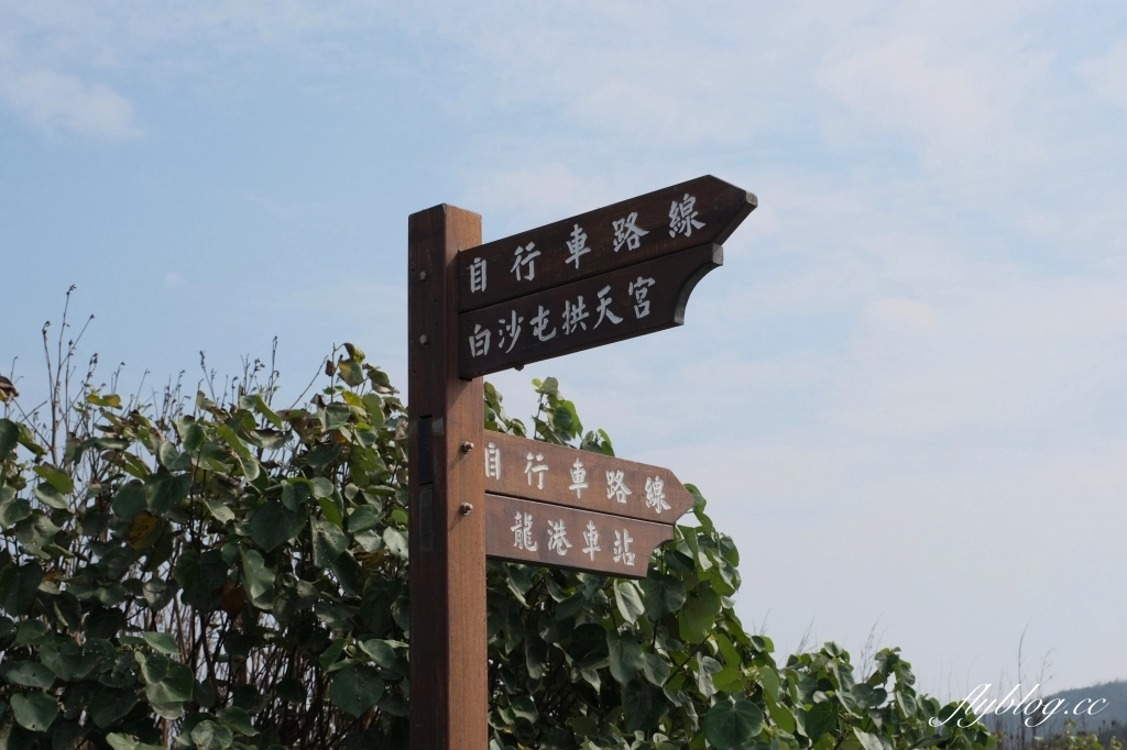 苗栗後龍｜海角樂園．後龍必遊IG打卡秘境，七彩彩虹和平地小天池，6月~9月天人菊花季最美 @飛天璇的口袋